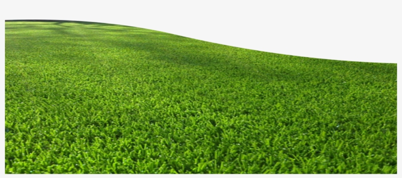 Grass Field Free Transparent Png Download Pngkey