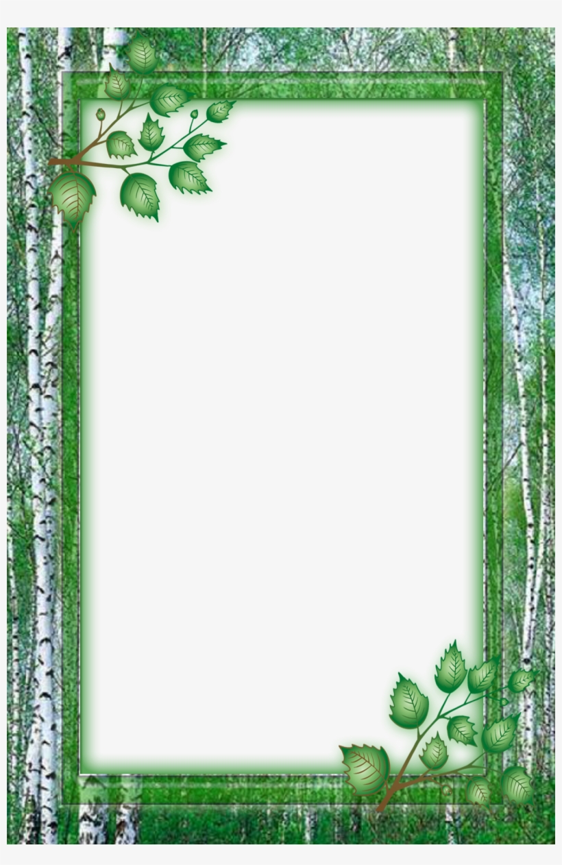 Pin By Jo Loie On Frames And Borders - Birch, transparent png #4869714