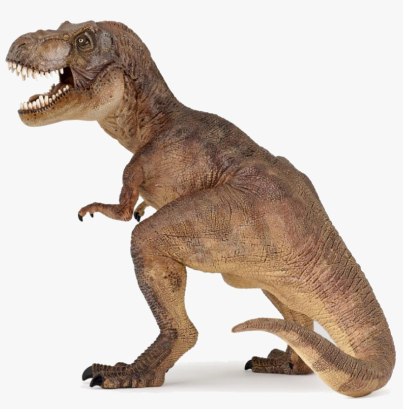 T Rex Png Picture - T-rex (papo Figurine), transparent png #4870181