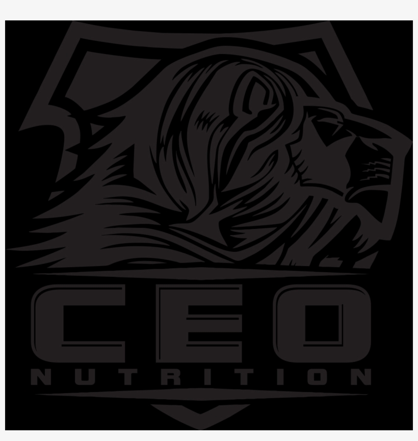 Kingdom Conquest, transparent png #4870968