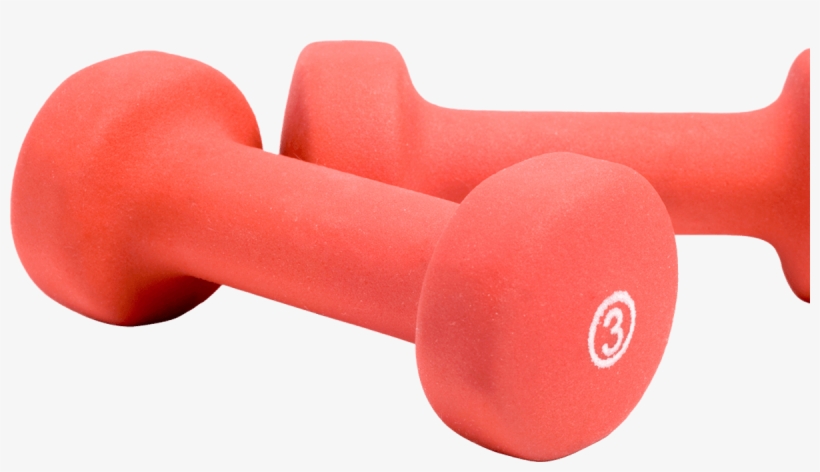 Their Challenge - Weight Training, transparent png #4871082