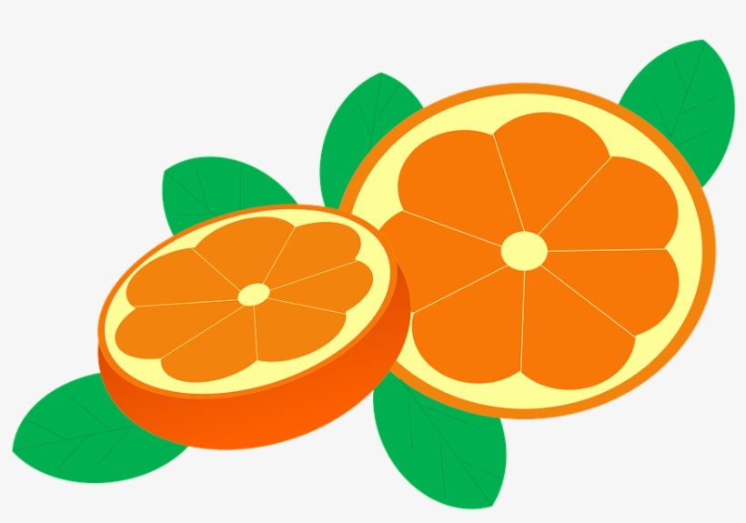 Fruit Orange Cliparts 15, Buy Clip Art - Clipart Jeruk, transparent png #4871420