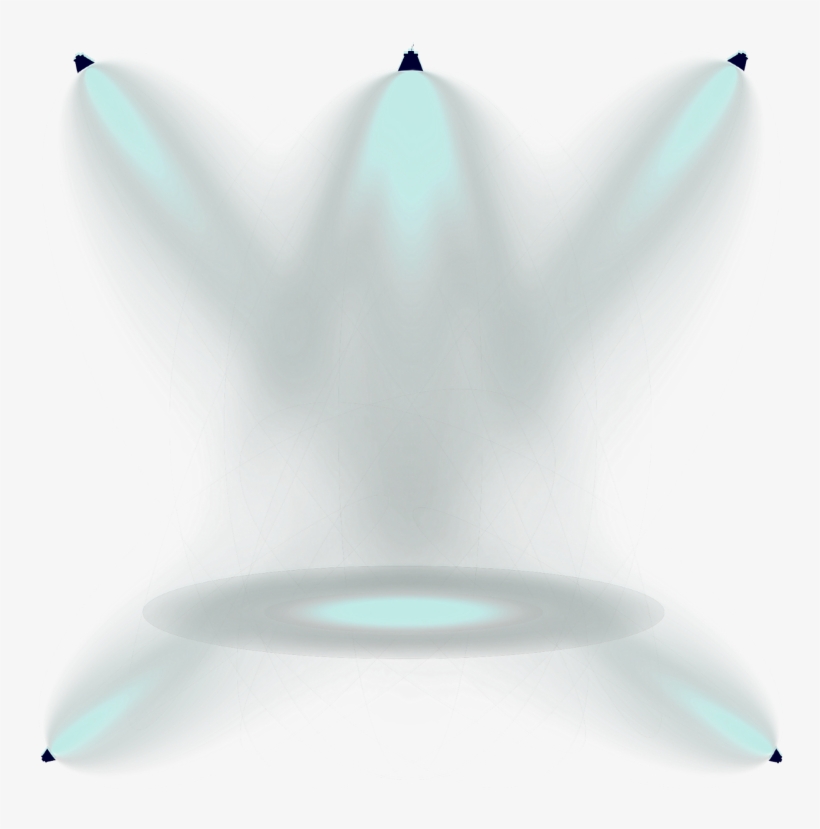 Gull, transparent png #4871920