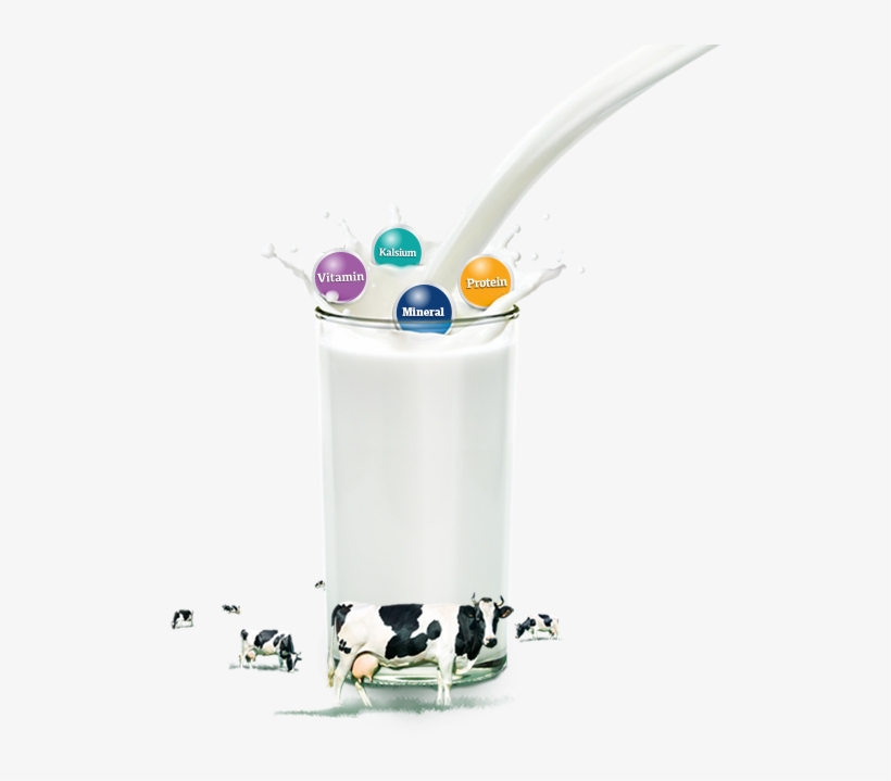 Made With 100% Milk From New Zealand - Milk, transparent png #4872519