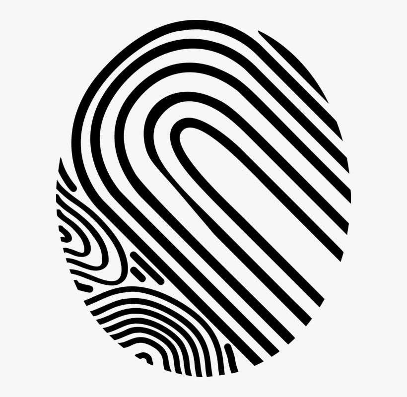 Fingerprint Png, Download Png Image With Transparent - Dấu Vân Tay Png, transparent png #4875559