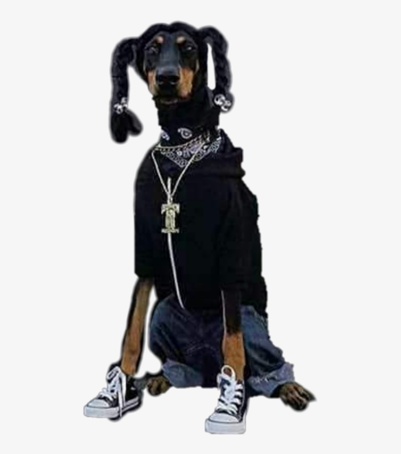Snoop Dogg, transparent png #4876779