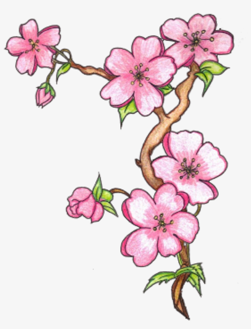 Drawings Of Flowers, transparent png #4877526