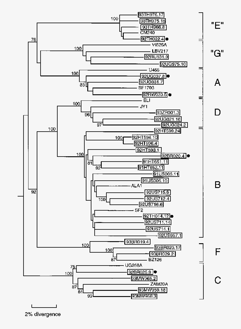 Full-length Env Sequences With Representatives Of Subtypes - Adenovirus Phylogenetic Tree, transparent png #4879381