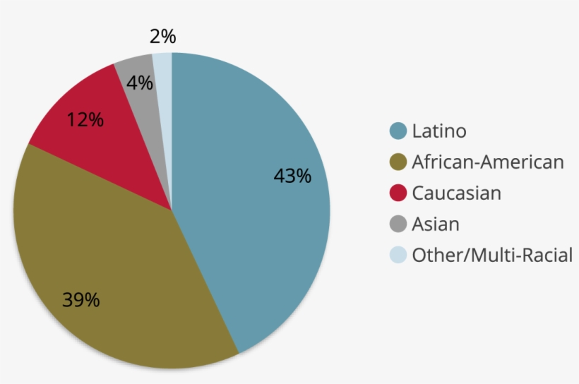 An Illustrated Pie Chart Depicting The Race & Ethnicity - Oil, transparent png #4879382