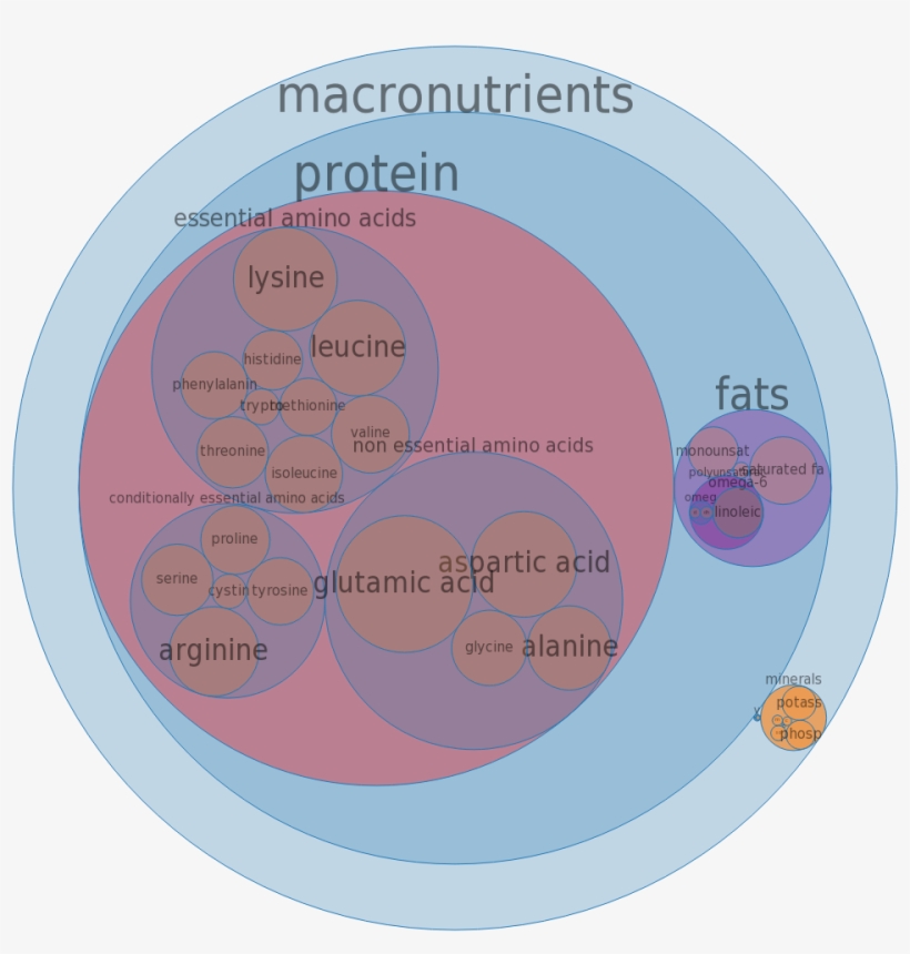 Turkey, Young Hen, Light Meat, Meat Only, Cooked, Roasted - Solid Non Fat Milk Composition, transparent png #4879506