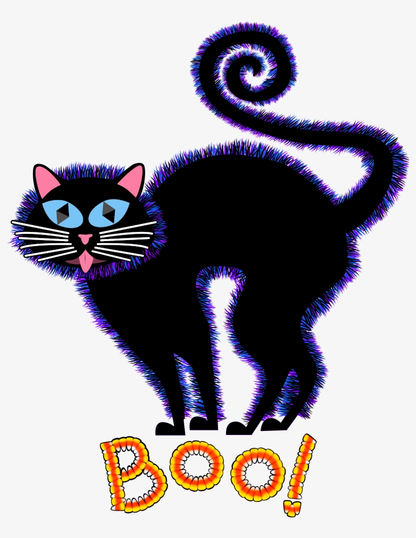 Fullscreen Rollover To Zoom - Cat, transparent png #4879695