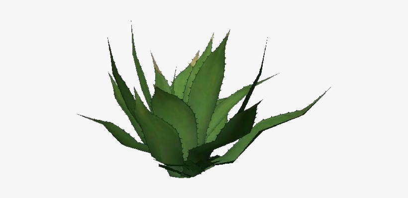 Plantas 3d - Agave Americana - Agave Tequilana, transparent png #4880116
