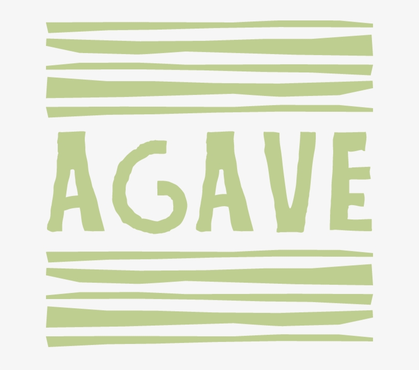Agave Web 640 - Excellence Playa Mujeres, transparent png #4881210