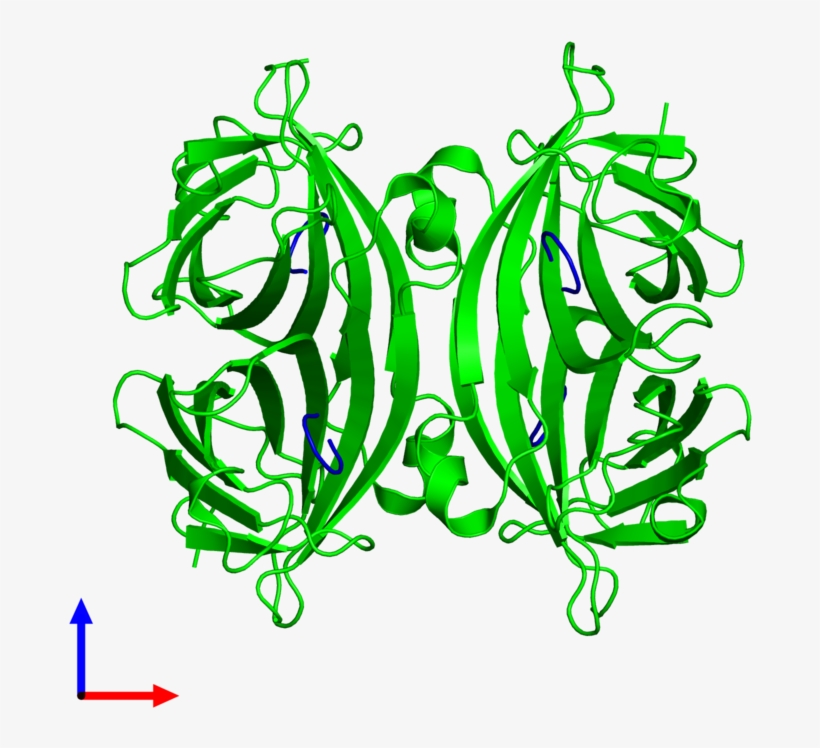 Octameric Assembly 3 Of Pdb Entry 5n99 Coloured By - Illustration, transparent png #4881211