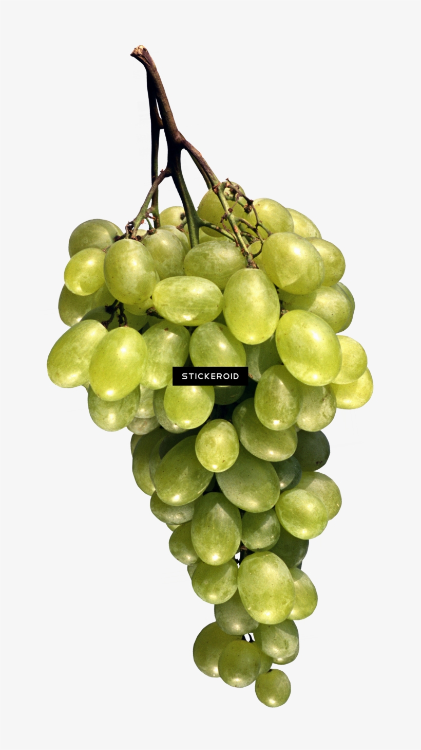 Grape, transparent png #4884298