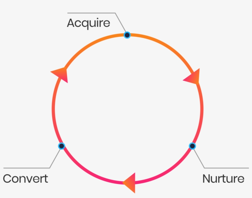 Lifecycle - Portable Network Graphics, transparent png #4884499