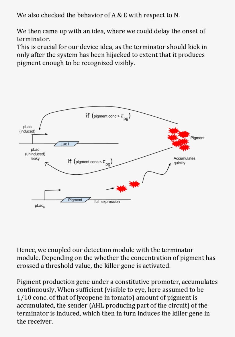 Mathematical Modelling Suffices To Provide An Objective - Diagram, transparent png #4884574