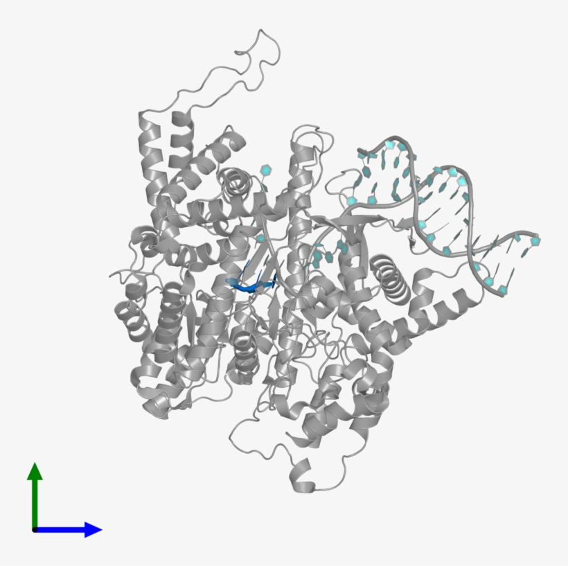 <div Class='caption-body'>pdb Entry 1qln Contains 1 - Graphic Design, transparent png #4885759