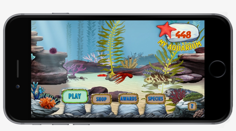 The Kelp Forest Game - Monterey Bay Aquarium, transparent png #4885880