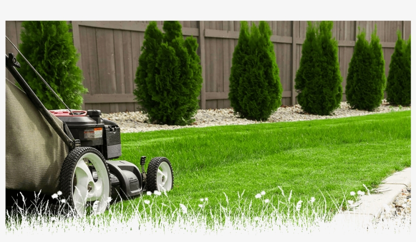 Jardineria Y Mantenimiento De Áreas Verdes, transparent png #4886352