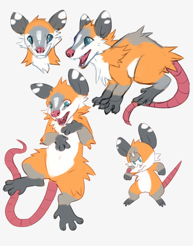 [o] My Opossum - Cartoon, transparent png #4886880