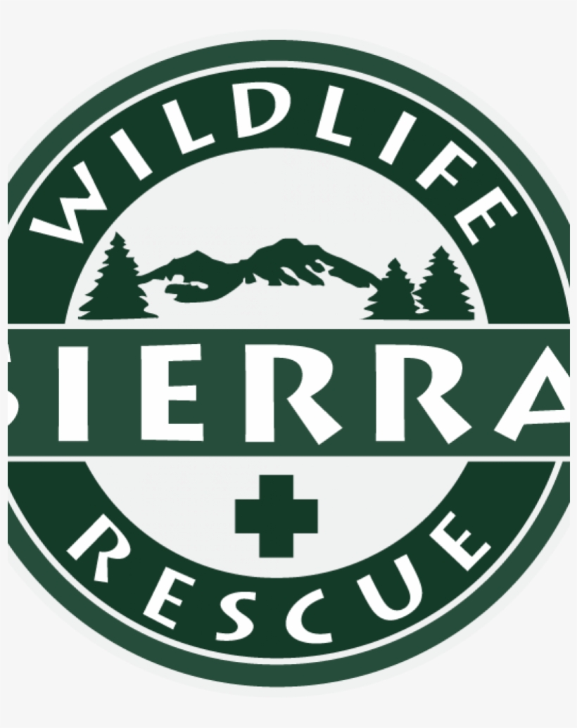 Emblem, transparent png #4887905