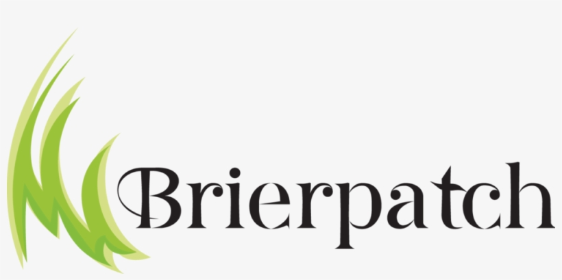 Jumping Tiger Png, transparent png #4888113