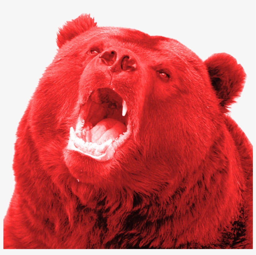 Red Bear - Russian Bears, transparent png #4889511