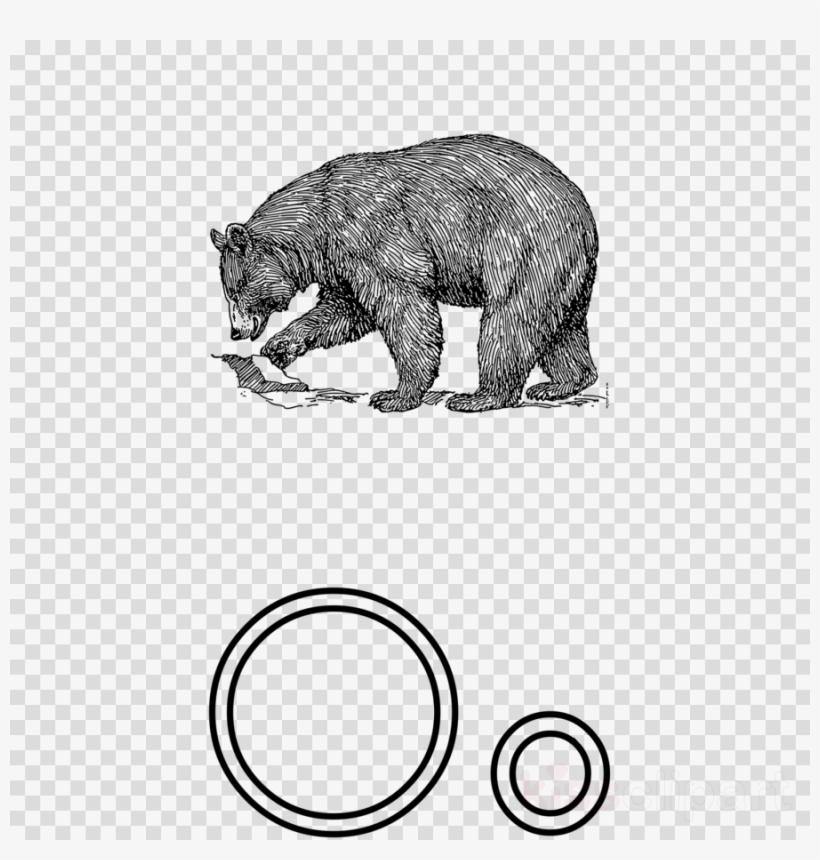 Black Bear Drawing Clipart American Black Bear Giant - Bear Template Pillow Case, transparent png #4889589