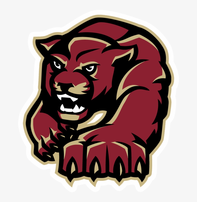 Paint Branch Panthers - Paint Branch Panthers Logo, transparent png #4890275