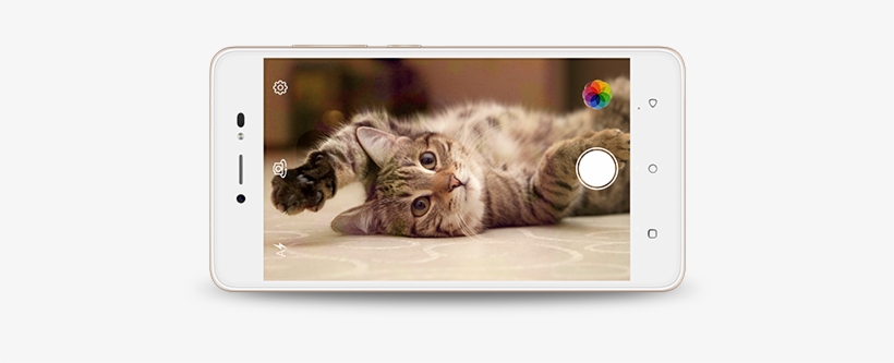 Lava Z60 - Happy Cat, transparent png #4891105