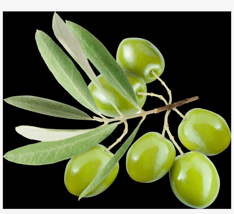 The Top Free Png Stock Image Site On The Web - Olive, transparent png #4891742