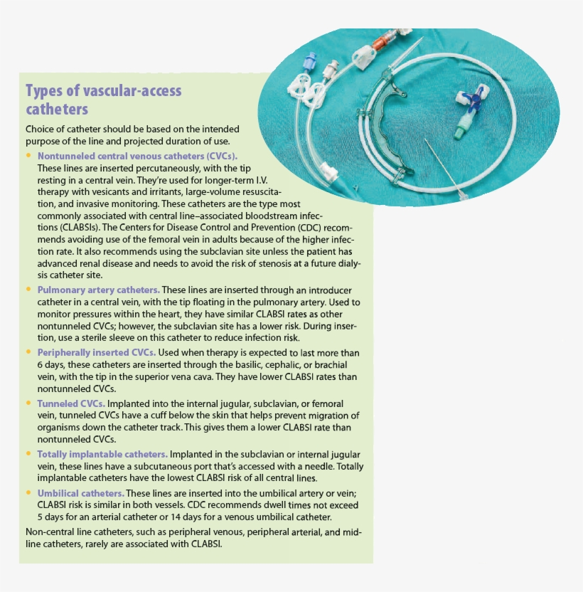 Evidence-based Guidelines For Clabsi Reduction - Untitled, Tailpiece, Pg. 27, In The Book Dingo By Octave, transparent png #4892586