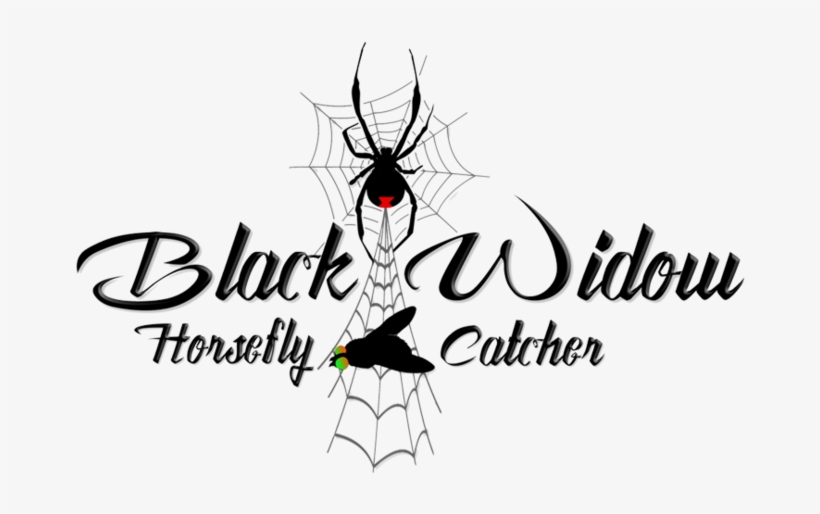 Black Widow Png, transparent png #4895192
