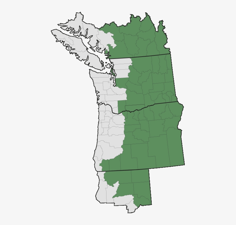 More Information - - Pacific Northwest Map Black, transparent png #4895413