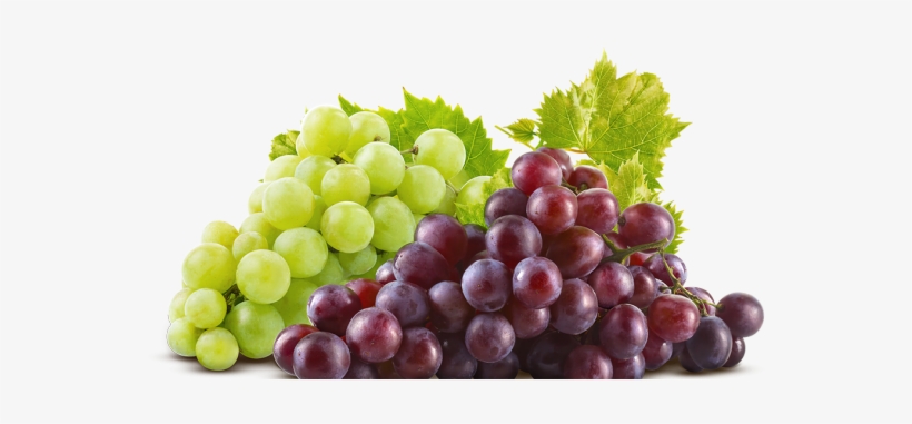 Sazonalidade - Grapeseed Oil From Majestic Pure, 100% Pure, transparent png #490070