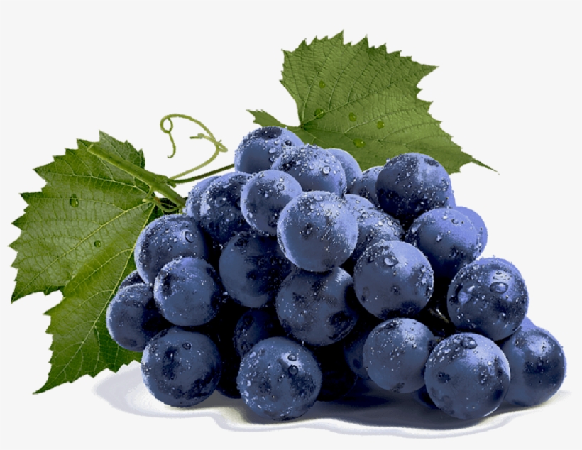 Related Wallpapers - Exprimidora Mecánica 6 L, transparent png #490146