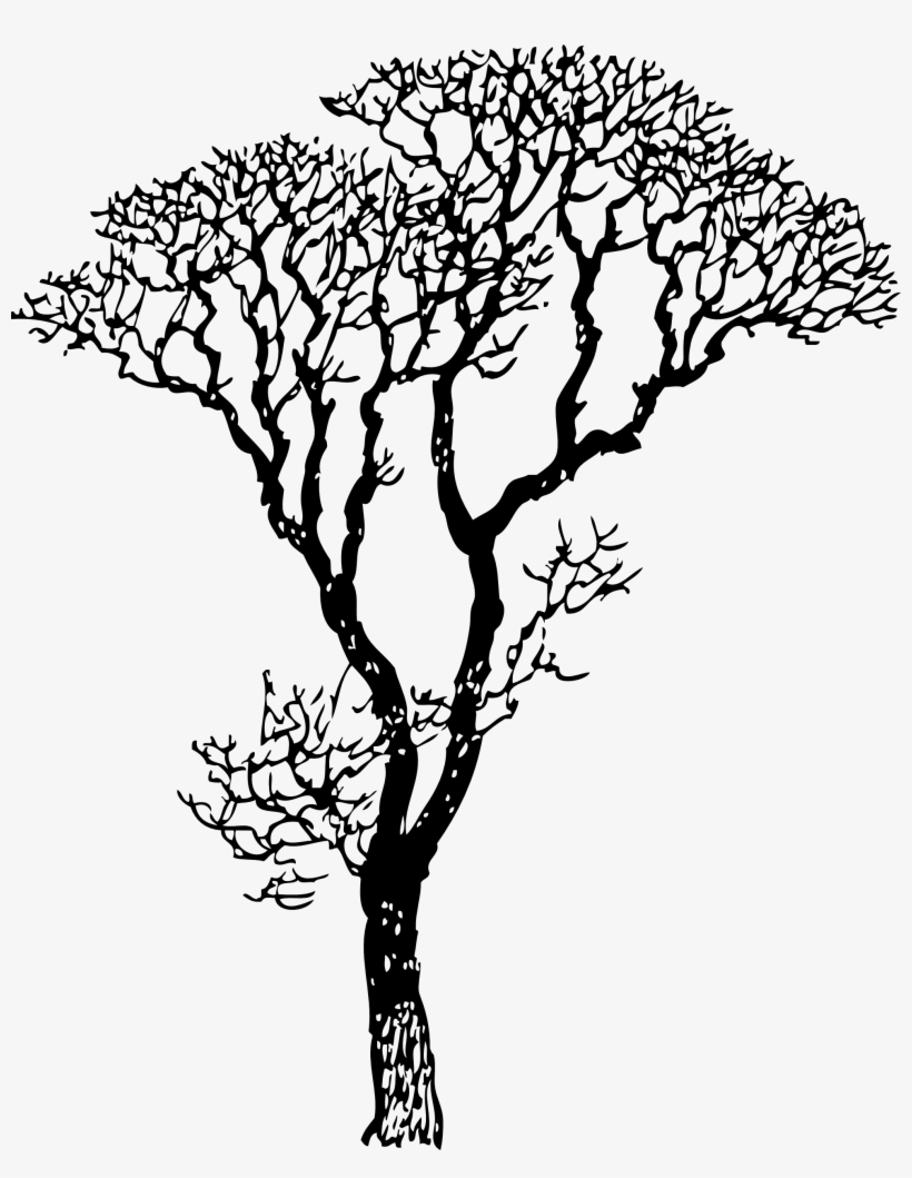 Branch Clipart Jungle Tree Branch - Black And White Clip Art Tree Trunk Tree, transparent png #490217