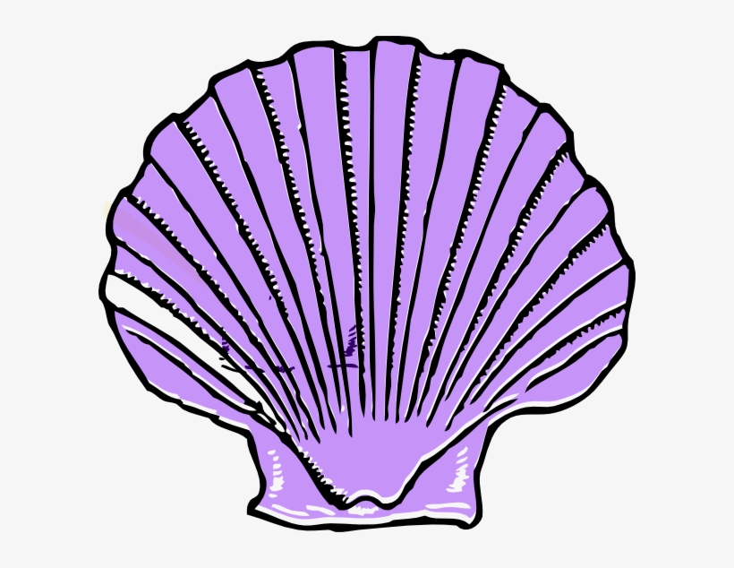 Download Free Printable Clipart And Coloring Pages - Purple Shell Clipart, transparent png #490450