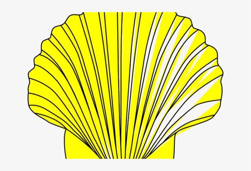 Pearl Cliparts Free Download Clip Art Carwad - Black And White Shell Clip Art, transparent png #490643