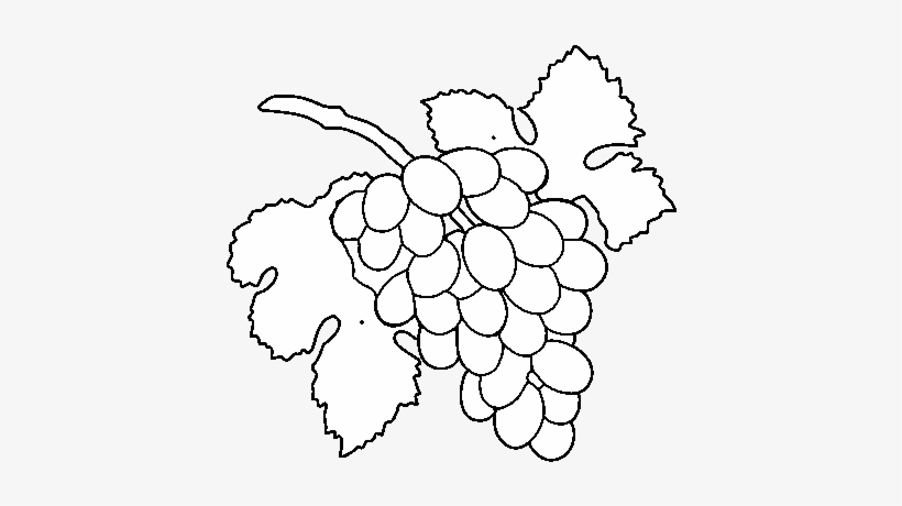 Dibujo De Racimo De Uvas Para Colorear - Seedless Fruit, transparent png #490672