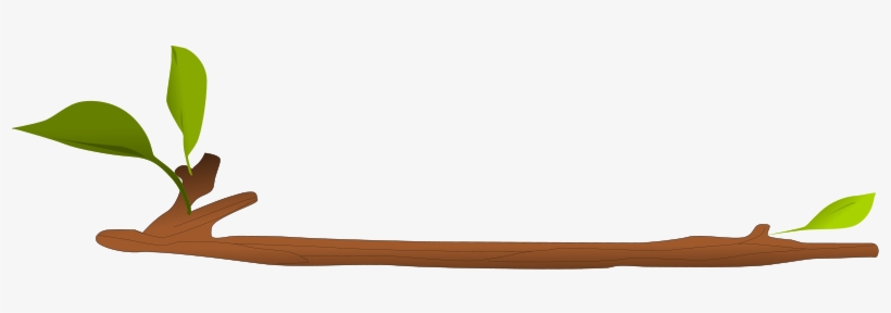 Branch Clipart Twig Pencil And In Color Branch Clipart - Ramo Clipart, transparent png #490730