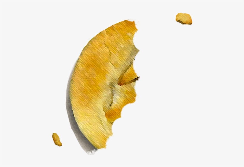 2000 - Swamp Birch, transparent png #490829