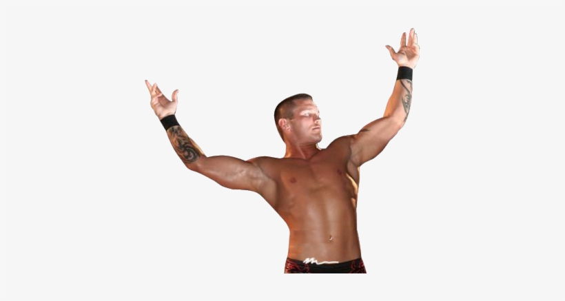 Randy Orton Rko Transparent, transparent png #490860