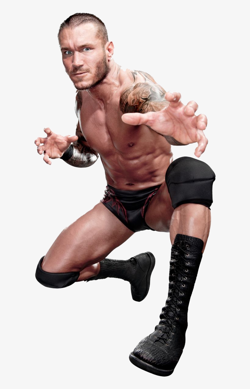 Randy Orton Png - Randy Orton .png, transparent png #490899