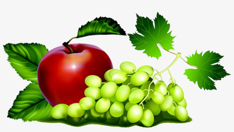 Maça E Uvas Em Png - Sulit Meyakinkan Monyet Kalau Apel Lebih Manis Daripada, transparent png #490901