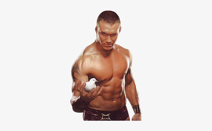 Randy Orton Images - No Mercy Randy Orton, transparent png #491023