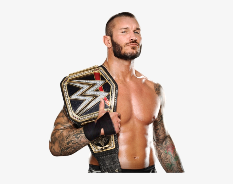 Randy Orton Tag Team Champion - Wwe Randy Orton Png 2017, transparent png #491047