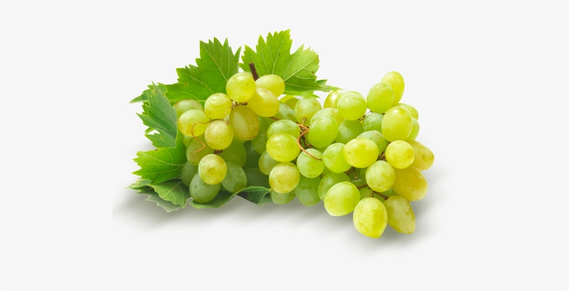 *los Productos Pueden Variar Por Temporadas - Fruta Uvas Verdes Peru, transparent png #491470