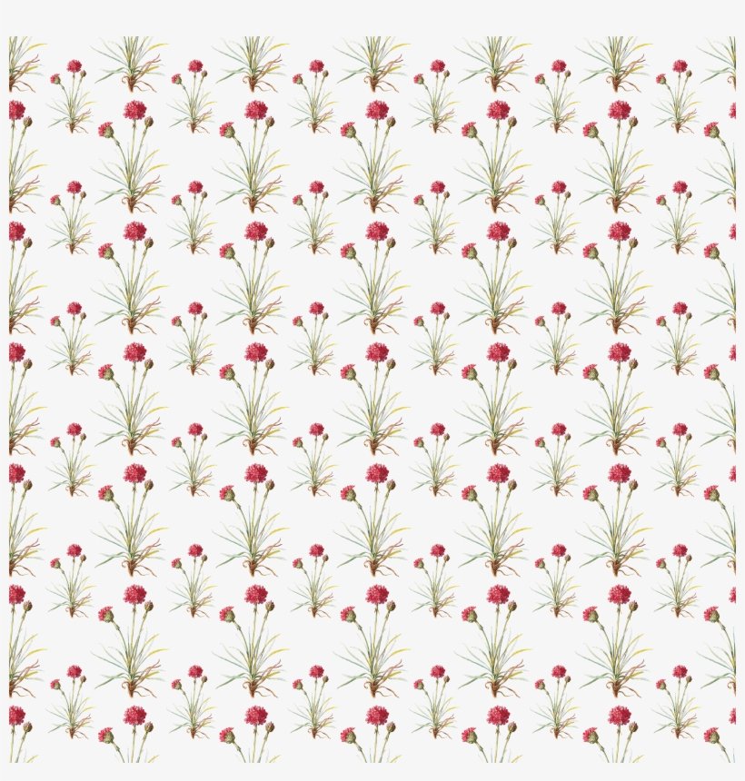Digital Paper Overlay - Sierpinski Carpet, transparent png #492259